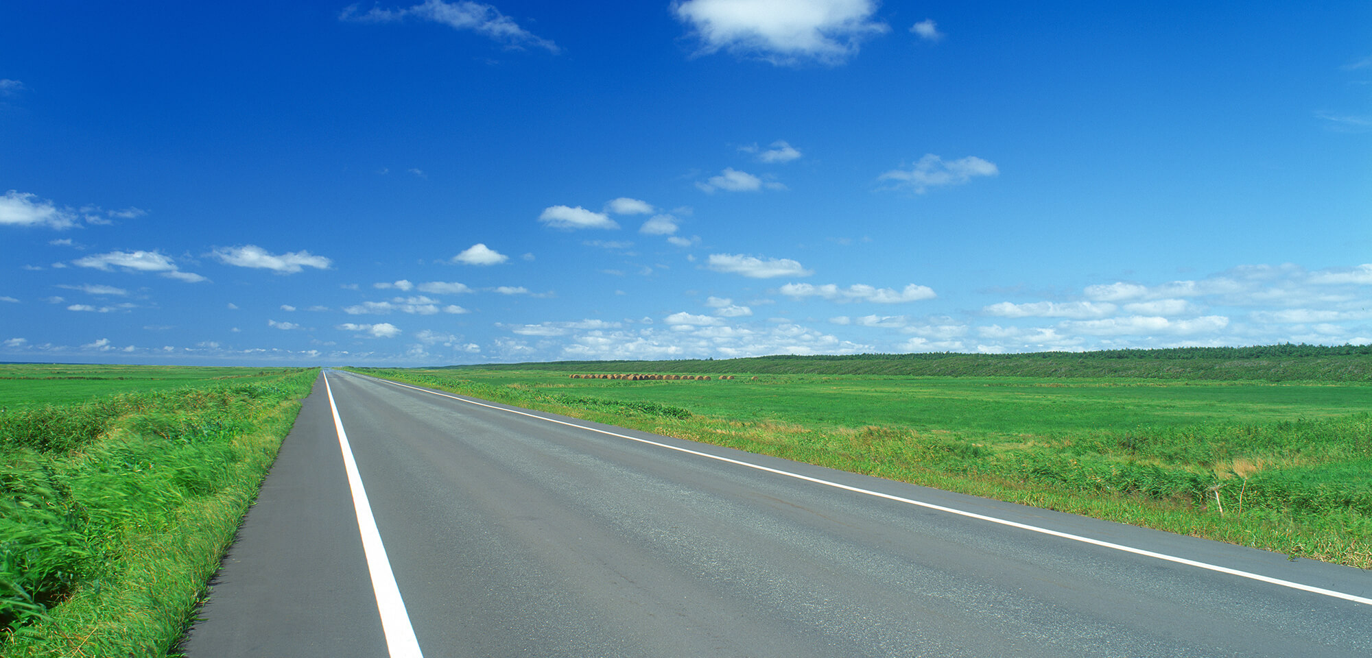 税理士法人ひびき