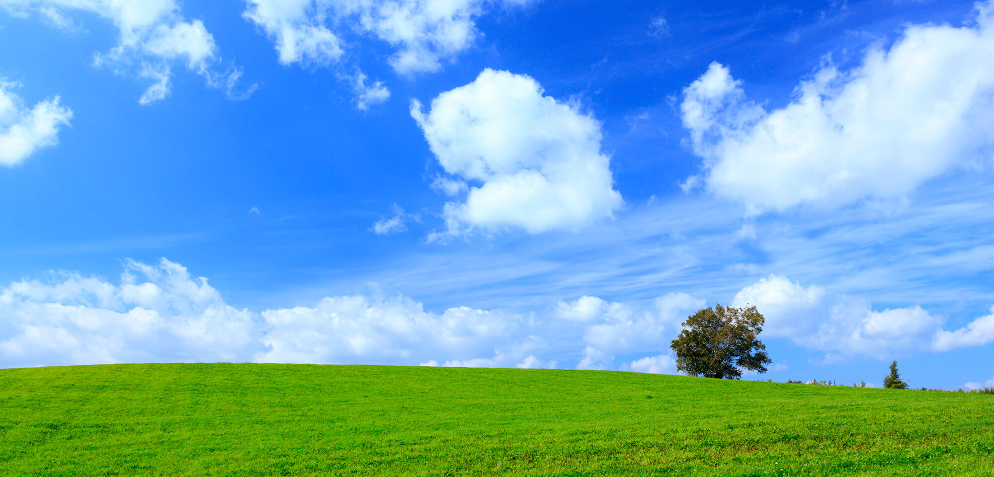 税理士法人ひびき