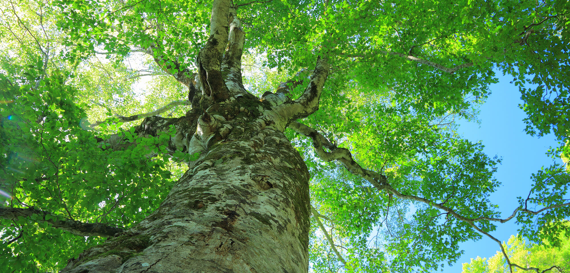 税理士法人ひびき